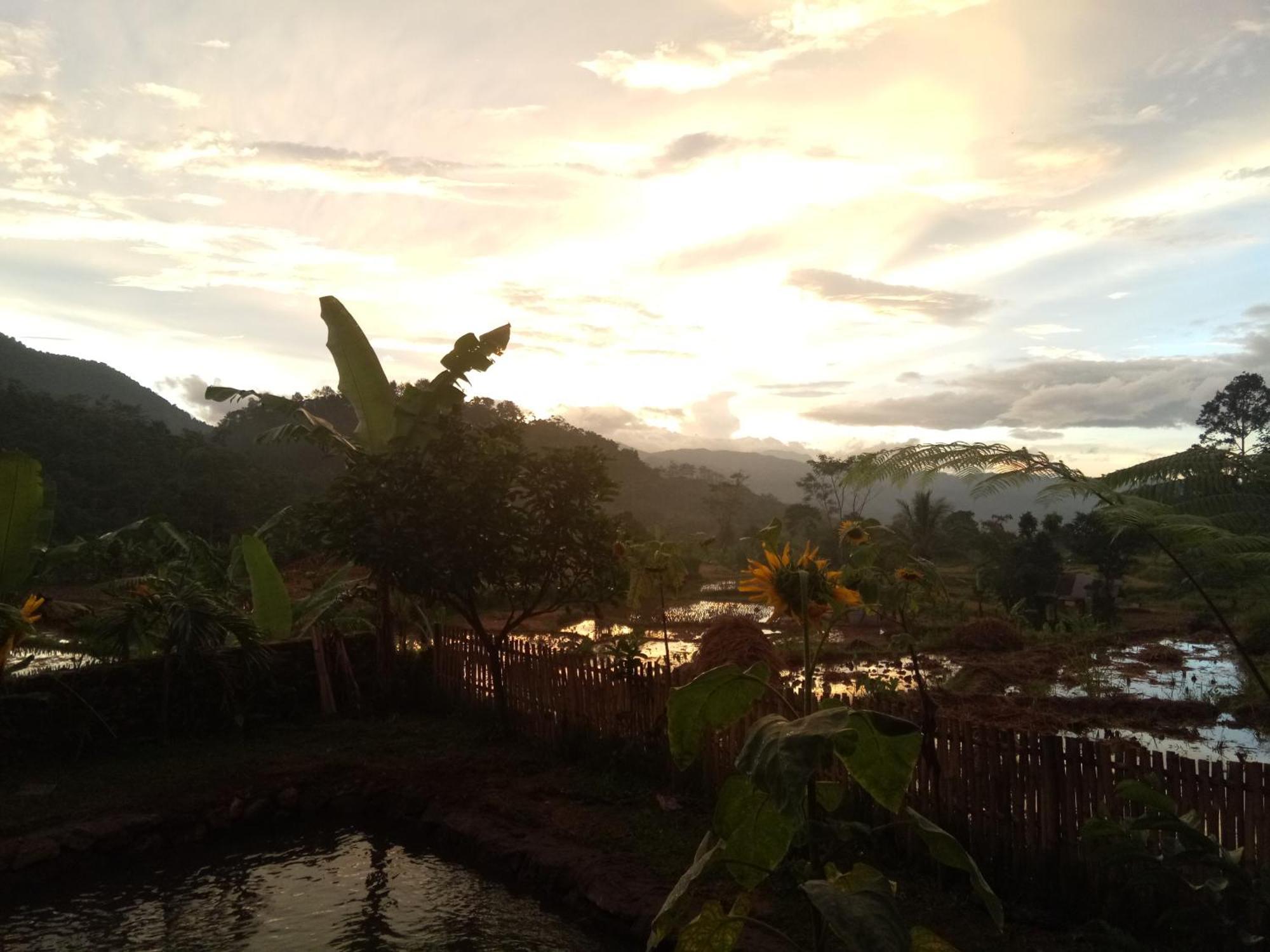 De Salak Homestay Bogor Luaran gambar