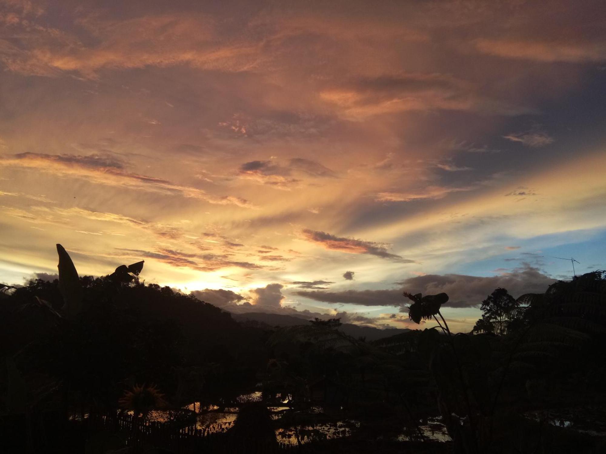De Salak Homestay Bogor Luaran gambar
