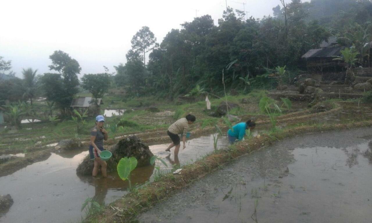 De Salak Homestay Bogor Luaran gambar
