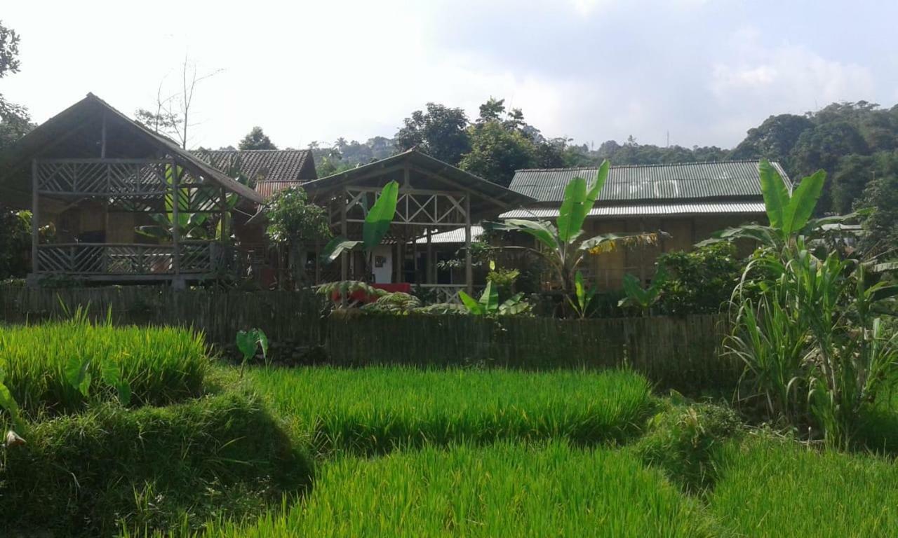 De Salak Homestay Bogor Luaran gambar