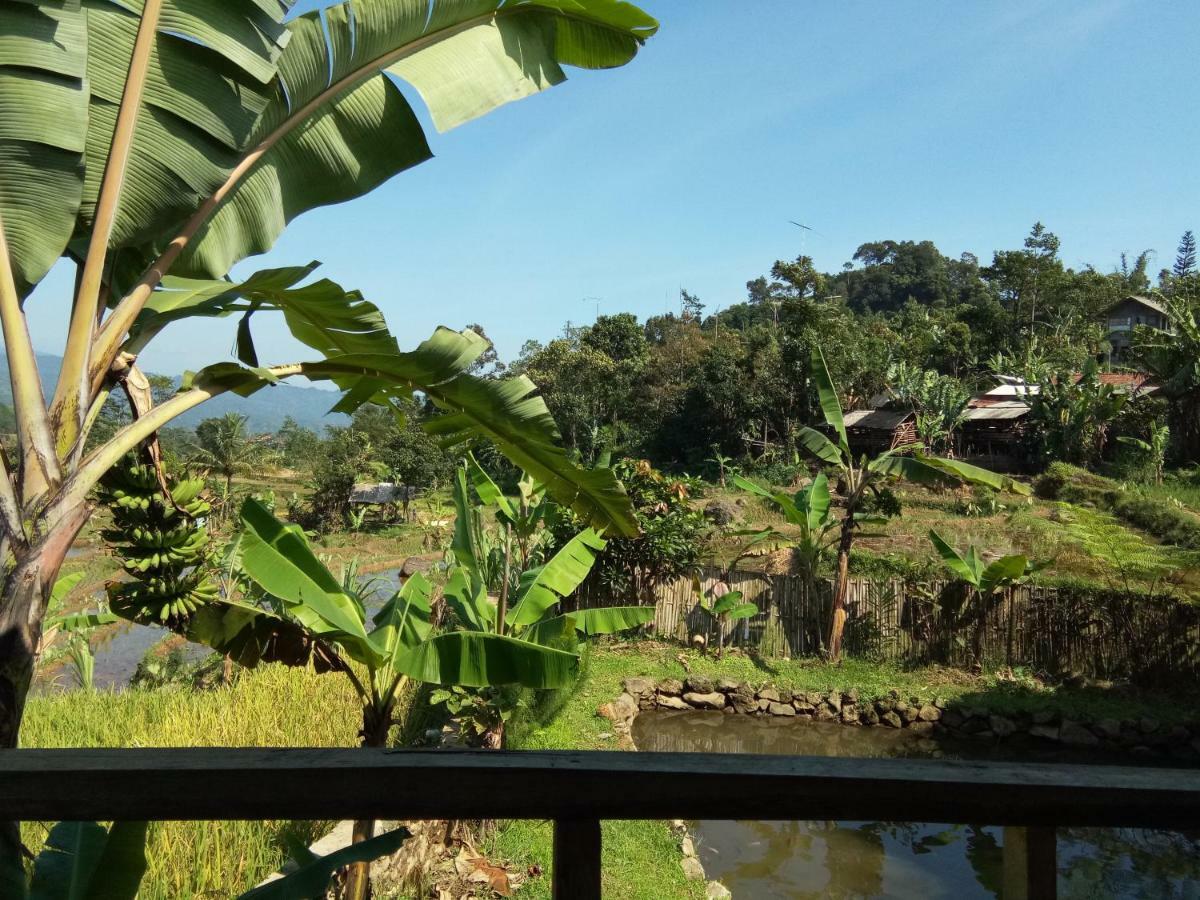De Salak Homestay Bogor Luaran gambar