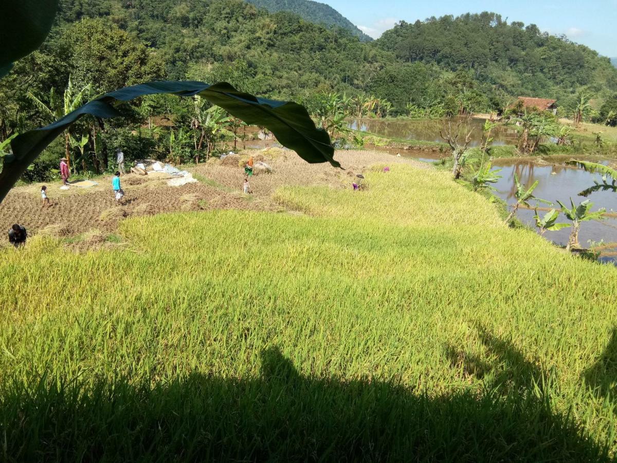 De Salak Homestay Bogor Luaran gambar