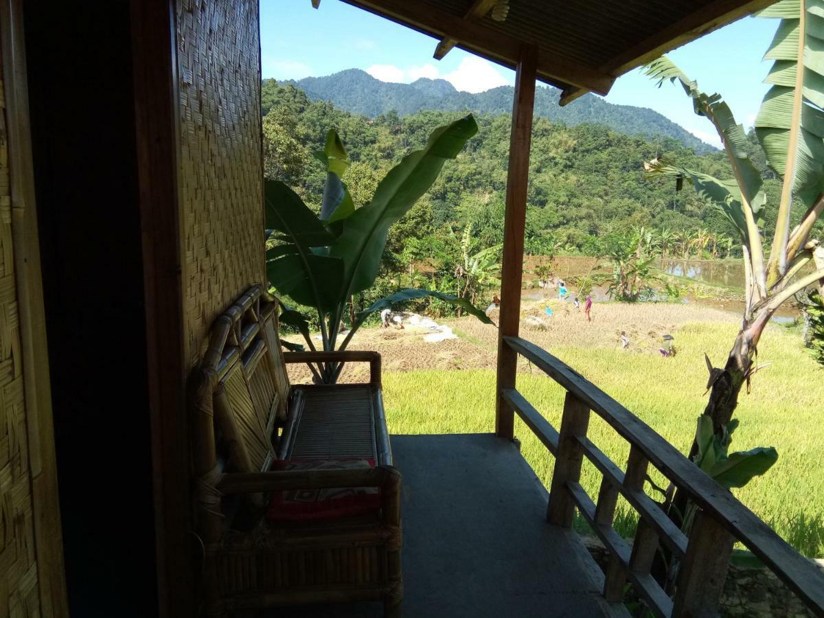 De Salak Homestay Bogor Luaran gambar