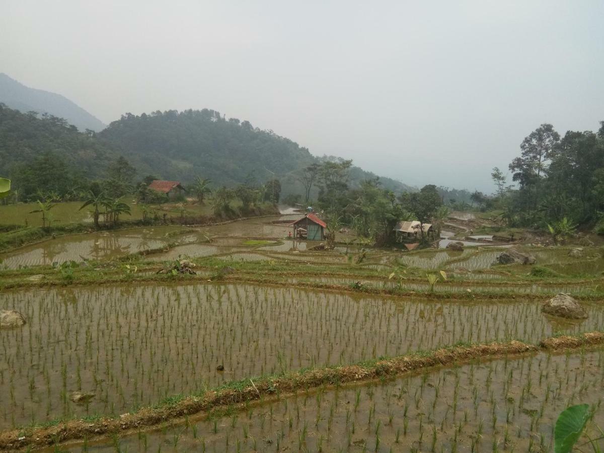 De Salak Homestay Bogor Luaran gambar